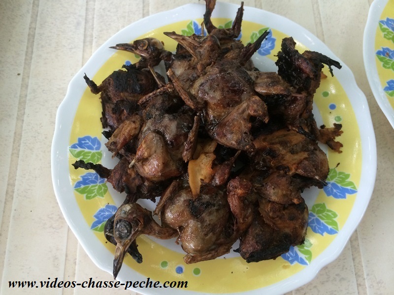 recette grive crapaudine recette grive crapaudine